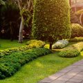 Choosing the Right Fence for Your UK Garden: Height, Materials, and Planning Permission Explained