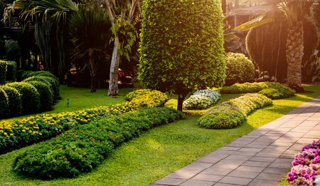 Choosing the Right Fence for Your UK Garden: Height, Materials, and Planning Permission Explained