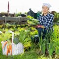The Ultimate Guide to Choosing the Perfect Garden Shed for Your British Home