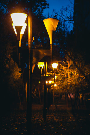 The Ultimate Guide to Outdoor Lighting Solutions for British Gardens: Design, Installation, and Maintenance