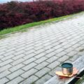 Patio vs Decking: Which is Better for Your British Garden?