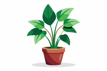 Essential Shrubs for Structure and Texture