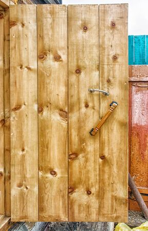 How to Identify, Prevent, and Treat Common UK Insect Infestations