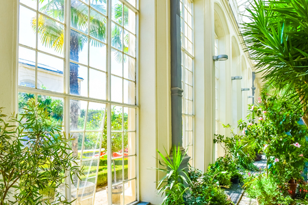A Brief History of Conservatories and Orangeries in the UK: From Georgian Elegance to Modern Trends
