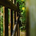 Dealing with Trespass and Damage to Your Fence: Your Legal Rights in the UK