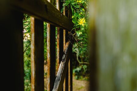 Dealing with Trespass and Damage to Your Fence: Your Legal Rights in the UK