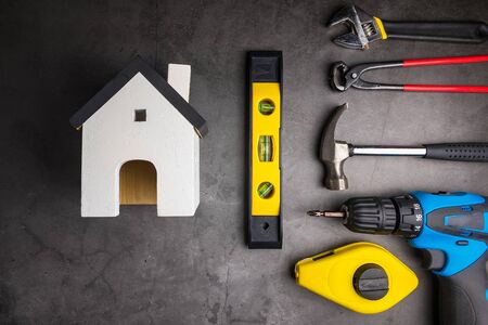 Managing Rodent Infestations in British Homes: A Step-by-Step Guide