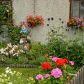Cottage Garden Design on a Budget: Affordable Ideas and DIY Projects
