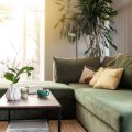 Sustainable and Eco-Friendly Conservatory Designs for Modern Living