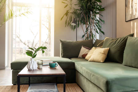 Sustainable and Eco-Friendly Conservatory Designs for Modern Living